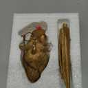 Vintage-Inspired Art Deco Animal Head Wall Sculpture, Brass-Toned Resin Wall Decor for Living Room Bedroom Office, Unique Small-Sized 3D Wall Art, Retro Home Gift & Abstract Wall Hanging Decorations(Rabit)