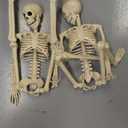 36" Skeleton Halloween Decorations, 3FT Realistic Full Body Movable Posable Joints Skeleton, Creepy Halloween Plastic Skeleton for Graveyard Decorations, Haunted House Props Indoor/Outdoor Decor