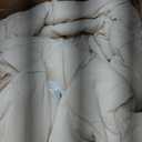  Comforter Duvet Insert Twin Size,All Season Fluffy Soft Down Alternative Comforter Microfiber Comforter with 8 Corner Tabs (White, Twin 68x88 Inches)