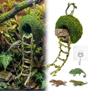 Moss Cave Hideout with Hanging Rope & Hemp Climbing Ladder Natural Reptile Tank Decor Accessories for Crested Geckos, Chameleons, Tree Frogs, Leopard Geckos & Snakes. Terrarium & Vivarium Decor (6")