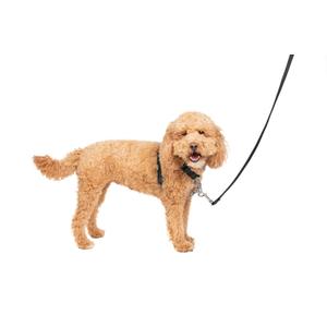 PetSafe 3 in 1 Dog Harness - No Pull Solution for Dogs - Reflective Dog Harness - Front D-Ring Clip Helps Stop Pulling - Comfortable Padded Straps - Top Handle Enhances Control - Black - Small