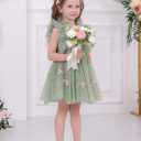 Flower Girls Sequin Butterfly Polka Dots Tutu Dress Kids Mesh Embroidery Tulle Wedding Princess Birthday Party Dresses (Green)