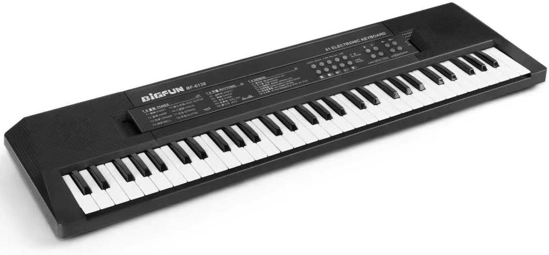 Raimy 61 Key Keyboard Piano for Kids, Portable Electric Piano Keyboard for Beginners with Microphone, Multifunctional Musical Educational Instrument Toy Gift for Boys Girls (Black), Compact