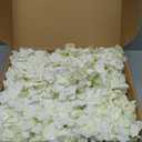 White Hydrangea Artificial Flowers Bulk, 60 Pcs Faux Hydrangea Flowers Heads, Artificial Fake Silk Hydrangea Flowers with Stems, White Flowers Artificial for Decoration Wedding Dcor
