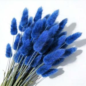 120pcs Blue Bunny Tail Pampas Grass Dried Flowers for Vase Boho Flowers Dried Babys Breath Wedding Decor Dry Flowers for Vase (Blue 120 PCS)
