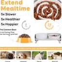 Elevated Slow Feeder Dog Bowls - Ceramic Food and Water Bowl Set with Stand - Raised Pet Dishes for Small and Medium Sized Dogs