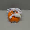 Enhon Chicken Coop Heater, Timing Heat Lamp for Chickens, Smart Temperature Control Chicken Brooder Heater, 5 Ft Long Cable Heating Lamp for Duck Dog Cats, No Remote