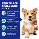 Wellix Anal Gland Chews for Dogs, Chicken Flavor Dog Gland Supplement | Rich in Pumpkin & Dietary Fiber | Support Stool Quality | Rich in Dog Probiotics for Digestive & Gut Health | 19.04 oz