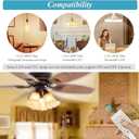 Smart WiFi Ceiling Fan Remote Control Kit, Universal 3 Speed Ceiling Fan Control with Dimmer, Compatible with Alexa, Google Assistant and Smart Life App, Remote Control Timing