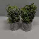 2 Pack Small Fake Plants Eucalyptus Potted Artificial Plants for Shelf Desk Home Bathroom Farmhouse Room Coffee Table Decor (Sage Green)