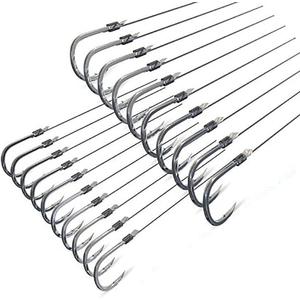 Dyxssm Small Fishing Hooks with Line, Tiny Fishing Hook on Nylon Line (Pack of 20) (12#)