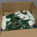 QIANYUN Faux Hydrangea Tree 30" Tall (2 Pack), Artificial Hydrangea Plant in Pot with White Flowers, Realistic Hydrangea Tree for Indoor Outdoor Porch, Patio, Home Decor