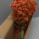 Yunlly 2 Pcs Thanksgiving Topiary Ball Fall Artificial Mums Tree for Outdoor Porch Decorations 24" UV Resistant Autumn Faux Bush Shrub Faux Violet Plant for Patio Garden Autumn Decor(Orange)