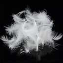 Bulk Goose Down Feather Stuffing & Fill  Hypoallergenic Pillow Filling, Repair, Restuff, Fluff for Couch Cushions, Comforters, Jackets5/95-1Lb DIY