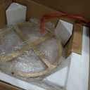 White & Gold Bar Stools Set of 2 Counter Height 24 Inches Swivel Bar Stools for Kitchen Counter Island Backless Modern Gold Barstools Upholstered Faux Leather Round Counter Stools, Off White+Gold