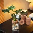 OLYCRAFT 10Pcs Cork Lids for Glass Planter 2.3-2.5 Inch Plant Corks with Center Hole Cork Stoppers for Hydroponic Plant Hydroponic Vase Lids Cork Replacement for Hydroponics Growing Vases