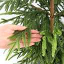 Artificial Norfolk Pine Christmas Tree - 3Ft Realistic Faux Christmas Tree for Home Indoor Outdoor Christmas Decorations