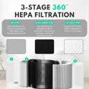 Nispira 2-Packs AP401 AP402 AP403 Filter Replacement for Dr.J, Airfire, GCZ, Dayette, JOWSET, FRESHDEW Air Purifier 3-in-1 H13 HEPA Activated Carbon