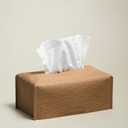 OLETHA Aesthetic Rectangle Tissue Box Cover, Medium Flat Box Tissues Holder Rectangular, Raffia Embossing, Wheat