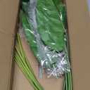 Hollyone 6 Pack Artificial Anthurium Leaves with Stems Real Touch Faux Anthurium Safari Leaf Fake Palm Tropical Plants for Vase Hawaiian Luau Party Jungle Beach Table Home Wedding Kitchen Decor