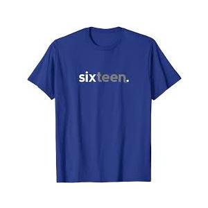 16th Birthday for Boys Sixteen Him Age 16 Year Party Teen T-Shirt Size L