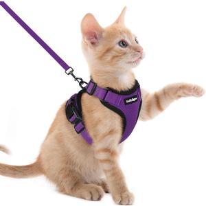 rabbitgoo Cat Harness and Leash for Walking, Escape Proof Soft Adjustable Vest Harnesses for Cats, Easy Control Breathable Reflective Strips Jacket, Purple, XXS