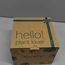 Hanging Planters with Macrame Plant Hangers for Indoor Outdoor Plants 3 Set Self Watering Pots Hanging Baskets Flower Pot Holders 3 Different Size (Medium)