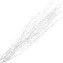 HOMSFOU Natural Birch Twigs 10pcs Artificial Branches Curly Willow Branches Decorative Dried Twigs Fake Sticks for DIY Greenery Plants Vases Home Office Decoration White