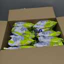 SkinnyPop Popcorn, Original, Whole Grain, Dairy-Free Snack, 0.65oz Bags (30ct), BB: 01/5/2026