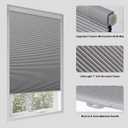 Tonature No Drill Cellular Shades for Indoor Windows, Thermal Insulating & Noise Reducing Honeycomb Blinds, Free Stop Cordless Blackout Shades, Grey,22" W x 80" H