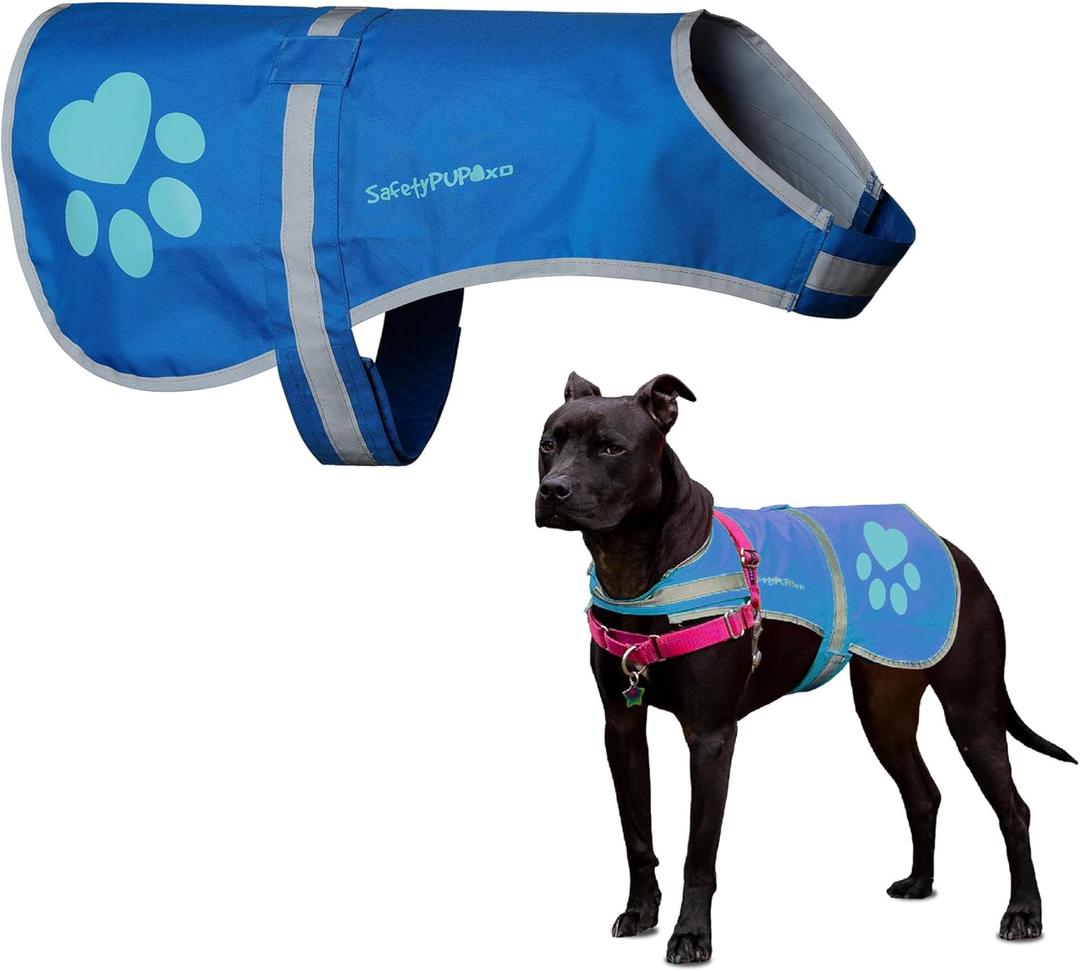 SafetyPUP XD Dog Reflective Vest  Hi-Vis Fluorescent Visibility That Helps to Safeguard Your Pet On/Off Leash in Urban & Rural Areas (Blue, Small)