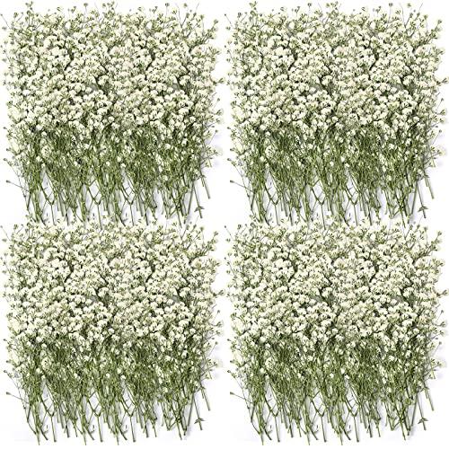 Lasnten 200 Pcs Mini Dried Babys Breath Pressed White Flowers Bulk Real Natural Flat Gypsophila Baby's Breath for Wedding Invitations Card Making Bookmark Candle Resin Art Craft DIY Home Party Decor