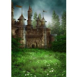 AOFOTO 4x6ft Fantasy Castle Backdrop Gothic Medieval Stone Castle Photography Background Magic Enchanted Forest Fairytale Floral Meadow Backdrop for Princess Knight Kids Birthday Photo Shoot Props
