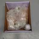 Spantik Himalayan Rock Salt Night Light Cylinder Shape 2Pack