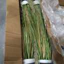 Jexine 4 Pcs 4 ft Tall Artificial Grass Plant Potted Artificial Greenery Floor Plants Faux Pampas Grass Tall in Pot for Housewarming Gift House Garden Bathroom Lobby Outdoor Decoration