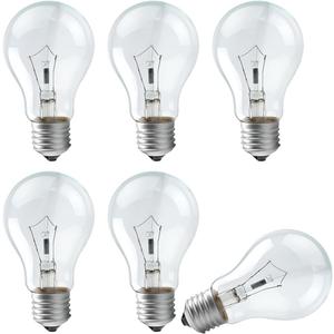 Incandescent Light Bulb, A19 E26 Medium Base, Dimmable, Soft White - 6 Count