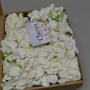 20 Pcs White Hydrangea Artificial Flowers Bulk, Faux Hydrangea Flowers Heads, Artificial Fake Silk Hydrangea Flowers with Stems, White Flowers Artificial for Decoration Wedding Dcor