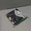 BJU Jamaica Flag T-Shirt Lion Tee Printed Crewneck Short Sleeve Casual Sports Top Unisex (Large)