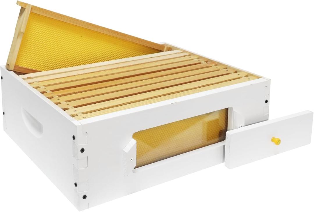 BeeTech 10 Frame Beehive Middle Box Super Bee Box Painted for Sale Bee Hives with Windows