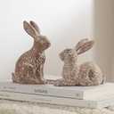 DN DECONATION Set of 2 Easter Bunny Figurines, Brown Resin Rabbit Statue Decor, Ornaments for Spring Home Decor, Bunny Decorations for Coffee Table Shelf Mantel, Decorative Rabbit Figurines Gift