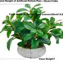 K&Y Realistic Artificial Potted Plants Olive Wild Fern Berry Decor Low Maintenance Faux Greenery Indoor Fake Plants for Home Office Bathroom Kitchen Desk Shelf (Gray Flowerpot Potted Plant)