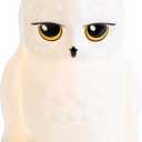 Paladone Harry Potter Hedwig Night Light - Officially Licensed Harry Potter Decor Gift, Bedroom Portable Mood Light for Kids, Battery Powered, Black