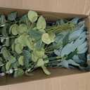 150 Pcs 4 Kinds Mixed Artificial Eucalyptus Leaves Stems Bulk Fake Silver Dollar Eucalyptus Bundle Faux Plants Greenery for DIY Bouquets Floral Arrangement Wedding Engagement Party Decor