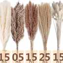 Dried Pampas Grass Decor, 128PCS Pampas Grass with Bunny Tails Dried Flowers, Reed Grass Bouquet for Wedding, Boho Flowers, Home Table Decor, Rustic Farmhouse Party