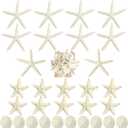Queekay 15 Pieces Resin Starfish Sand Dollars 2.0 Inch 4.7 Inch Starfish 2.3 Inch Sand Dollars Crafts Ocean Themed Glittered Coastal Decorations for Summer Wedding Christmas Party Decor Supplies