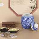 Traditional Chinoiserie Round Ginger Jars Blue and White Porcelain Series Ceramic Storage Jars with Sealed Lids,for Home/Kitchen/Dining Table Decoration (Melon Jar)