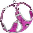 ThinkPet Reflective Breathable Soft Air Mesh No Pull Puppy Choke Free Over Head Vest Ventilation Harness for Dogs and Cats (Purple,Small)