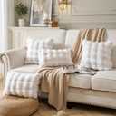 Pack of 2 Thick Plush Throw Pillow Covers Fluffy Wave Faux Fur Decorative Cushion Covers Soft Wool Pillowcase for Sofa Couch Livingroom 20x20 Inch White