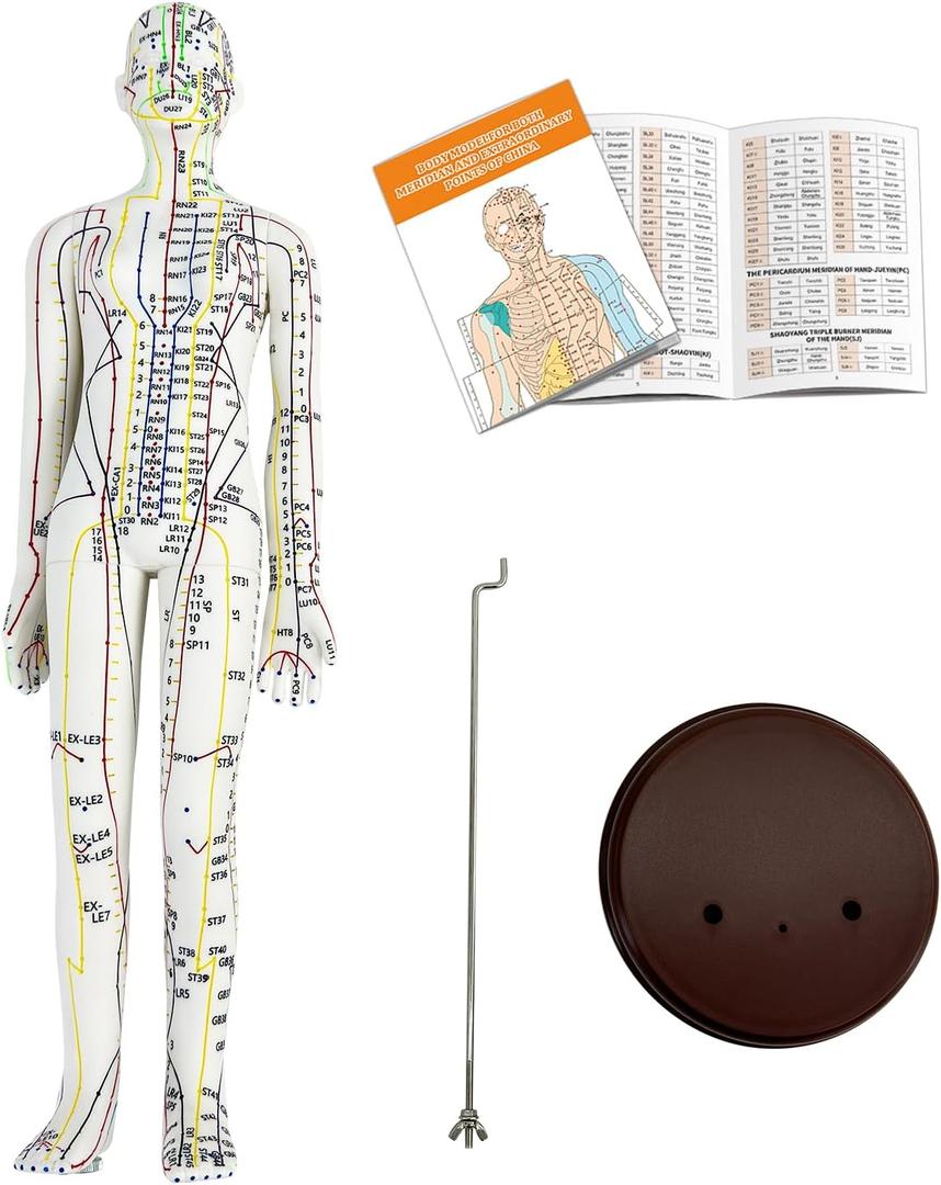 Acupuncture Model, Human Acupoint Model 20.5in Full Body Silicone Professionals Clear Identification with Base for Chinese Medicine Teaching Acupoint Student Demonstration (Female