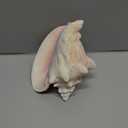 Nautical Crush Trading Conch Shell Decor - Seashell Decor - Imperfect (8-10in) Large Sea Shell - Shells for Decoration - Large Seashells for Craft - Magic Conch Shell Room Decor